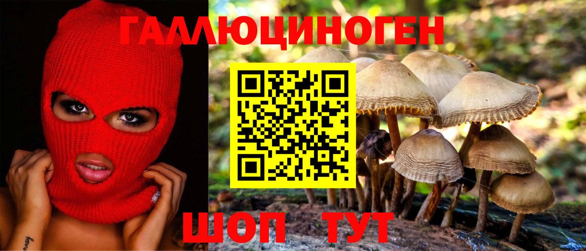 Псилоцибиновые грибы прущие грибы Калуга