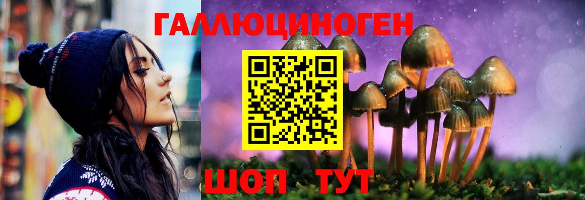 Галлюциногенные грибы MAGIC MUSHROOMS  продажа наркотиков  Вход с VPN  Калуга  Псилоцибиновые грибы Psilocybe 